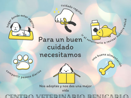 ¿VAIS A SER UNO MÁS EN LA FAMILIA?