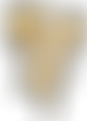 Ocenenia  účastníkom TTF26