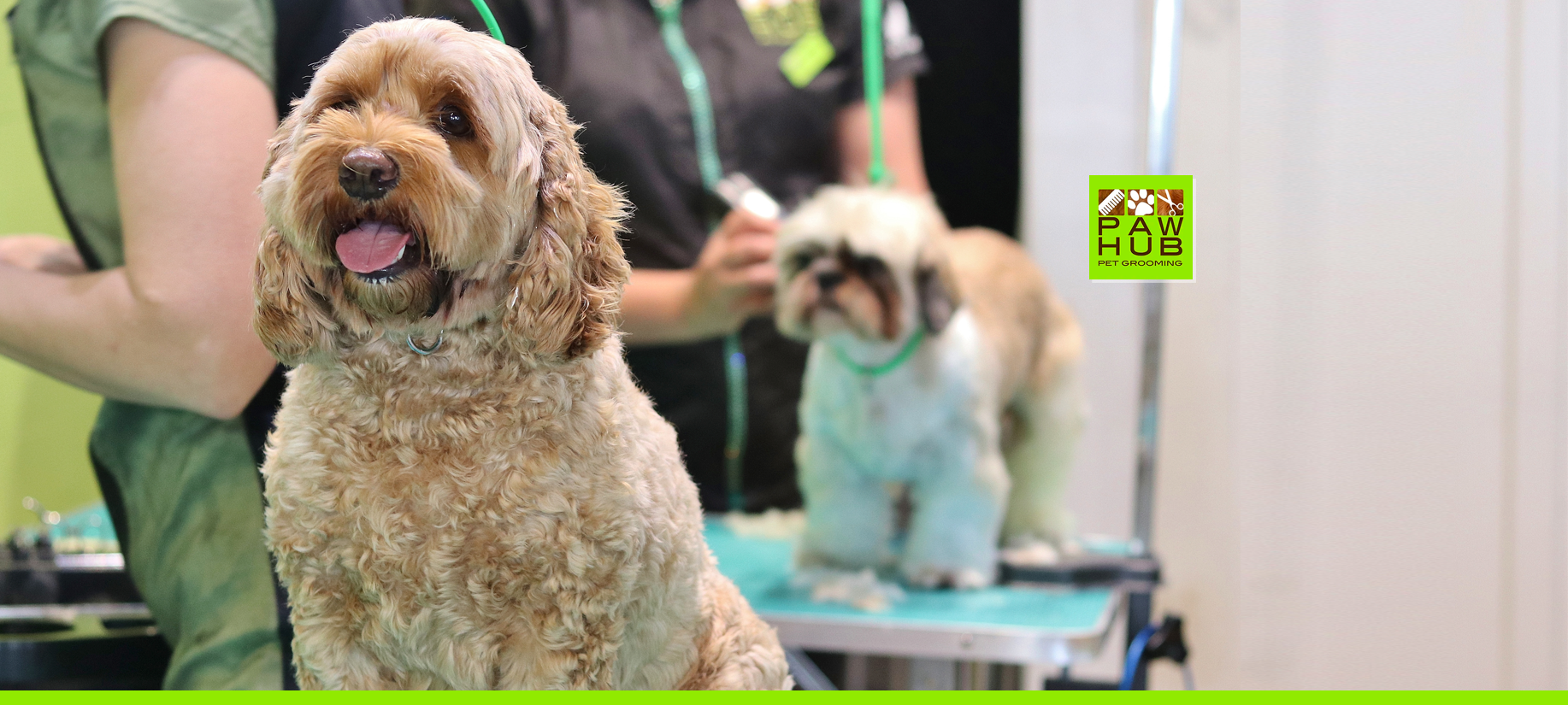 Paw Hub Pet Grooming
