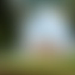 Cuckney House, 60th Birthday celebrations in the Ballroom