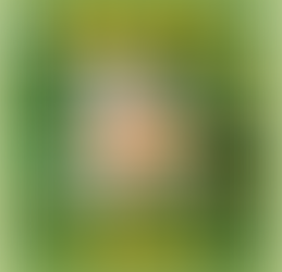 「こんちゅうクッキー」販売中！