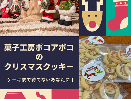 ▷クリスマスクッキー好評販売中！