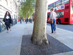 Flexipave tree surround installed at Whitehall, London, providing a porous, durable and tree-friendly surface around an established tree.