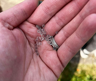 billes aire de jeux.jpg