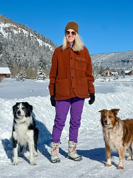 snow_dogs.png