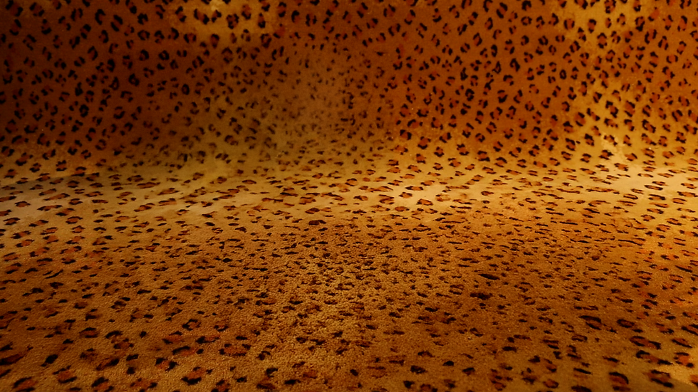 Leopard background.png