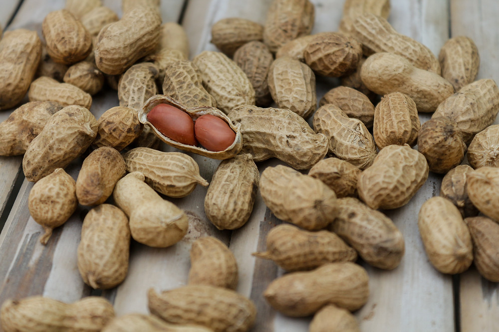 Add protein to our diet to improve your night's sleep