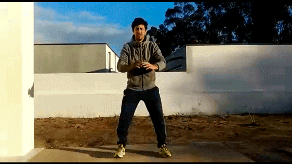 39a.gif