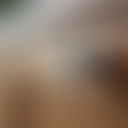 Why Brushed Satin Nickel Cabinet Knobs Shine: Satin Nickel Knob Benefits for Your Home