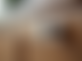 Why Brushed Satin Nickel Cabinet Knobs Shine: Satin Nickel Knob Benefits for Your Home