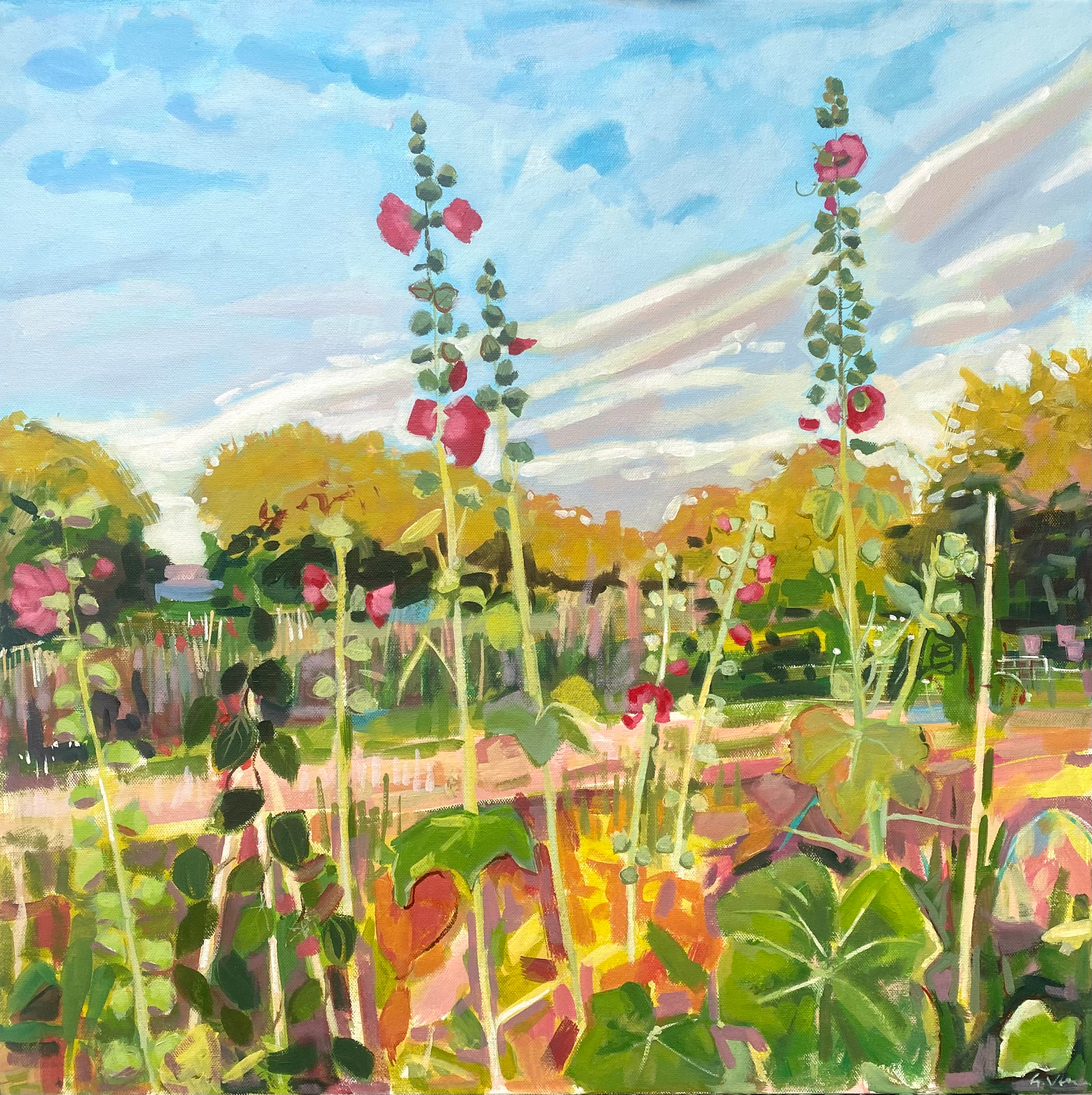 Hollyhocks On The Allotment