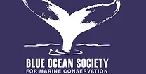 Blue Ocean Logo.webp