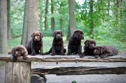 Gruppenbild 8 Wochen