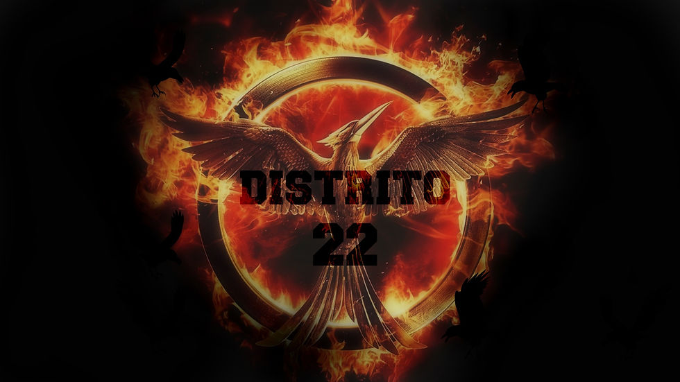 distrito 22.jpg