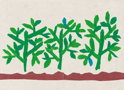 作者：林貴理（馬蘭文健站）