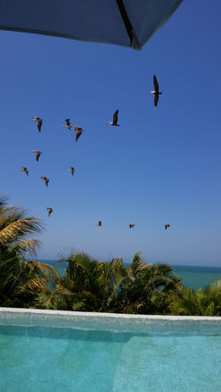 IMG-20181206-WA0084