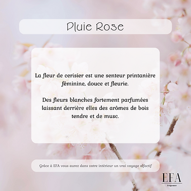 Description Pluie Rose
