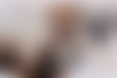 Mother Bison is surviving a snowstorm. The scene looks cold and windy with a lot of visible blowing snow and ice on the bison.