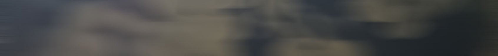 wet plate lilacs for site background blur copy.jpg