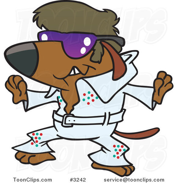 Hipster Dog