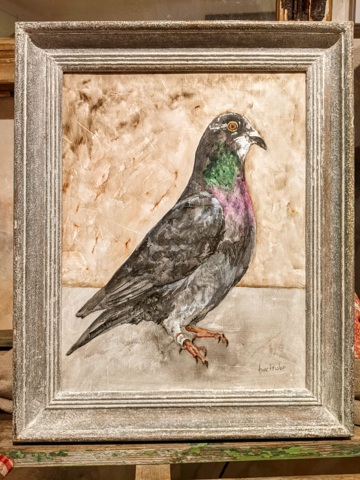 A Homing Pigeon