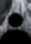 Web portrait.png
