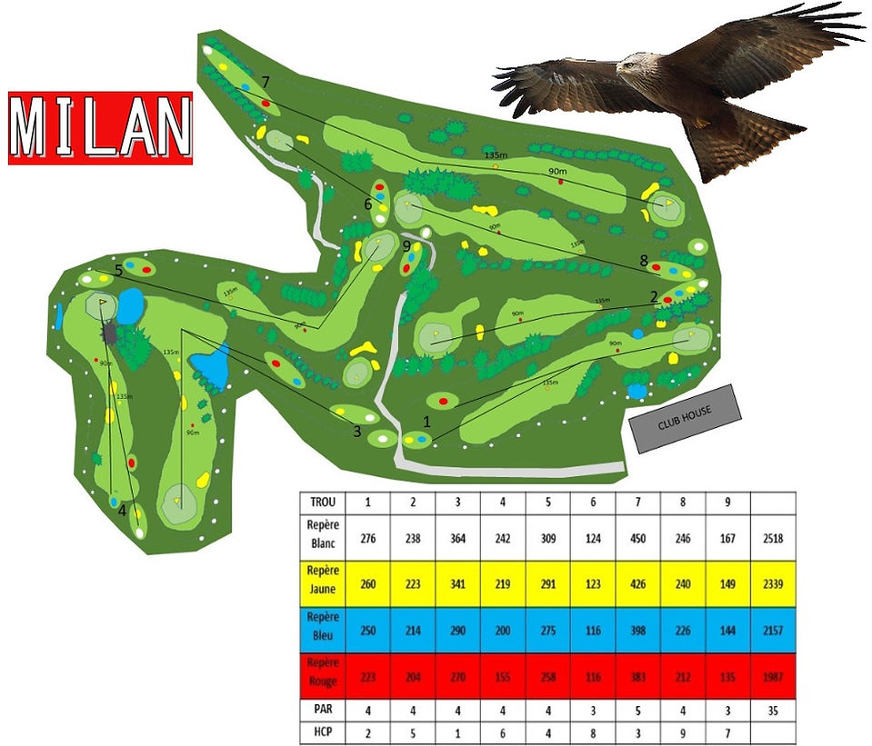 Plan-Neuvic-Milan.jpg