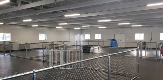 Companion Animal Clinic & Pet Resort offers the largest and most expansive doggie day facility in Waterloo and Cedar Falls, Iowa