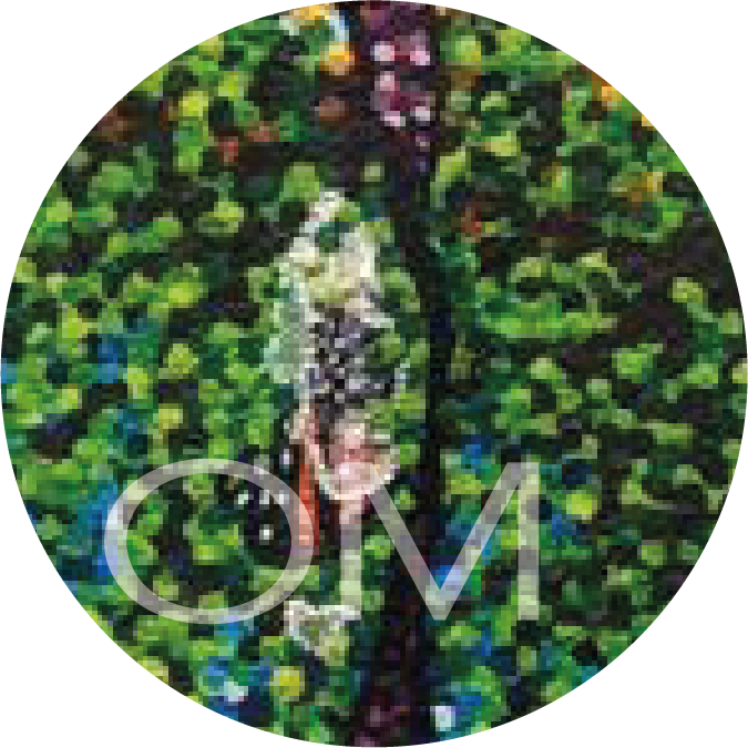 r3