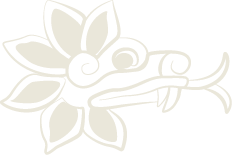logo centro.png