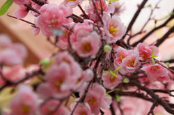 10679904_10202529224944287_8047939290681296993_o