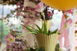 10483089_10202529224664280_3109640885787269281_o