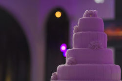 241679_417502191641661_824333018_o