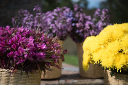 12094817_432342870291473_5994587468211831095_o