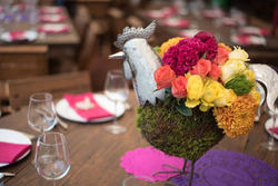 12120101_432343376958089_1029260975390633852_o