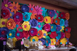 12119951_432343073624786_6057826474871356808_o