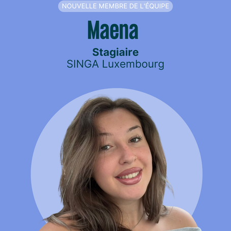 🎉 Présentation de l'équipe 🎉