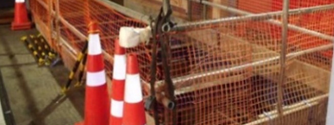 Scaffold_14.jpg