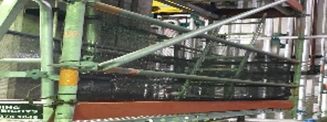 Scaffold_6.jpg