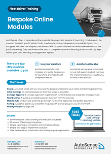 AutoSense_Bespoke online modules_flyer.png