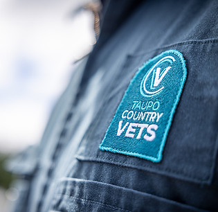 Embroidered blue patch "CV TAUPO COUNTRY VETS" on a dark work uniform.