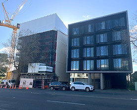 Jervois Road, Herne Bay_apts.jpg