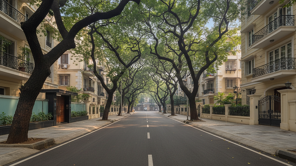 Eye-level view of a peaceful residential lane with mature trees near Almeida Park in Bandra West
