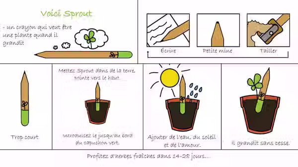Miniature : CRAYON A PLANTER