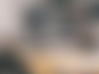 Building an Organizational Coaching Capability for Strategic Advantage 