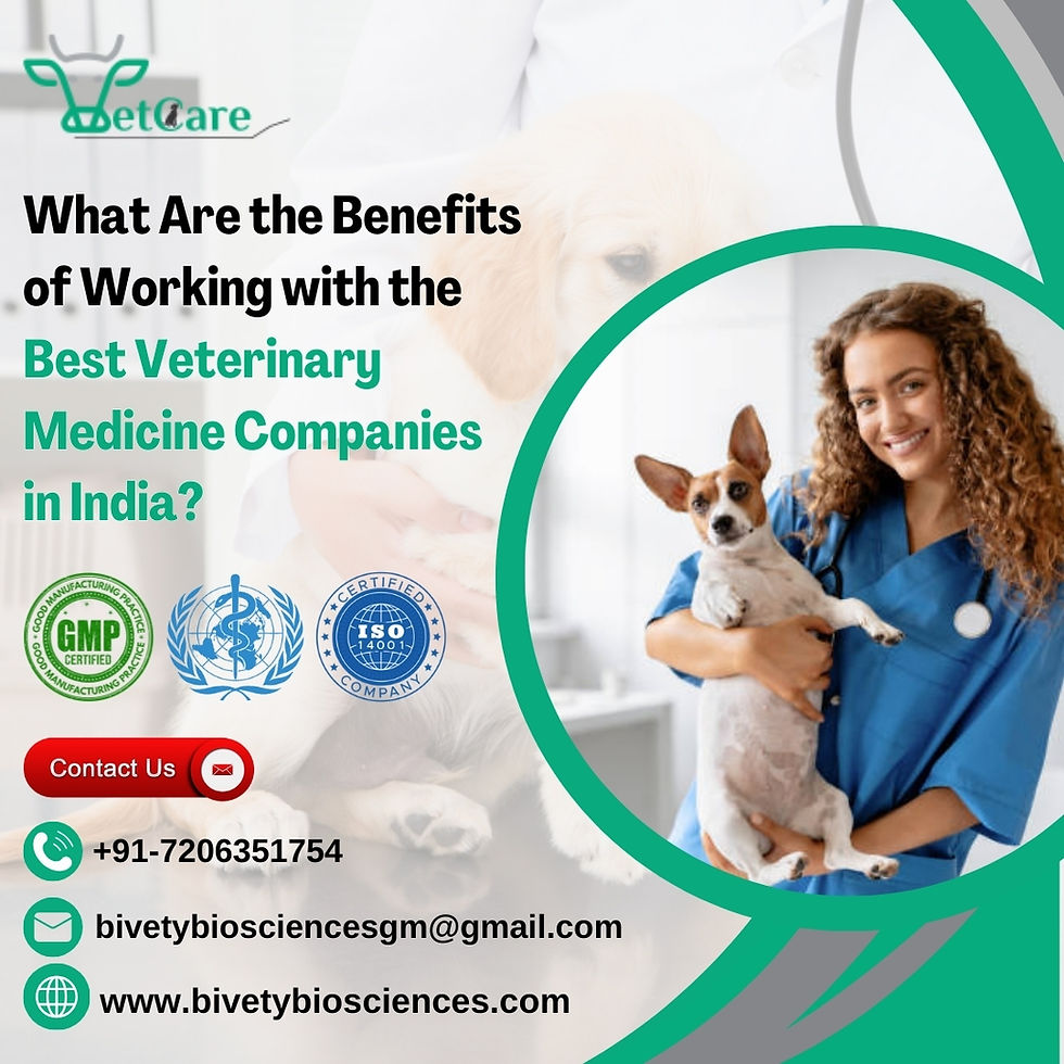 Veterinary Medicine Company