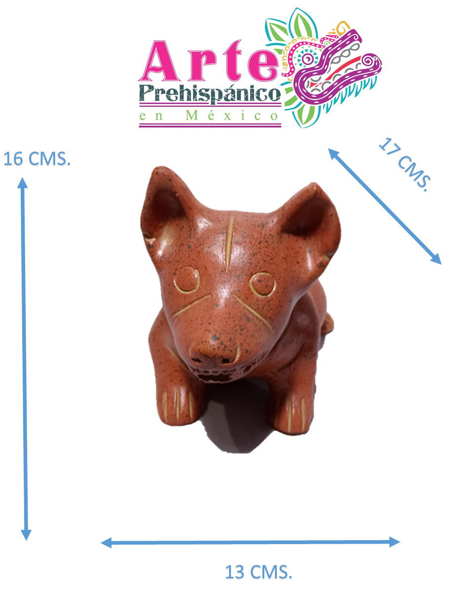 Miniatura: Xoloitzcuintle Gordito Sentado