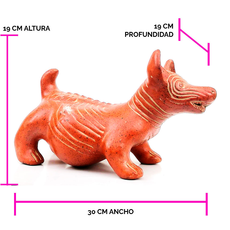 Miniatura: XOLOITZCUINTLE CEBADO GRANDE