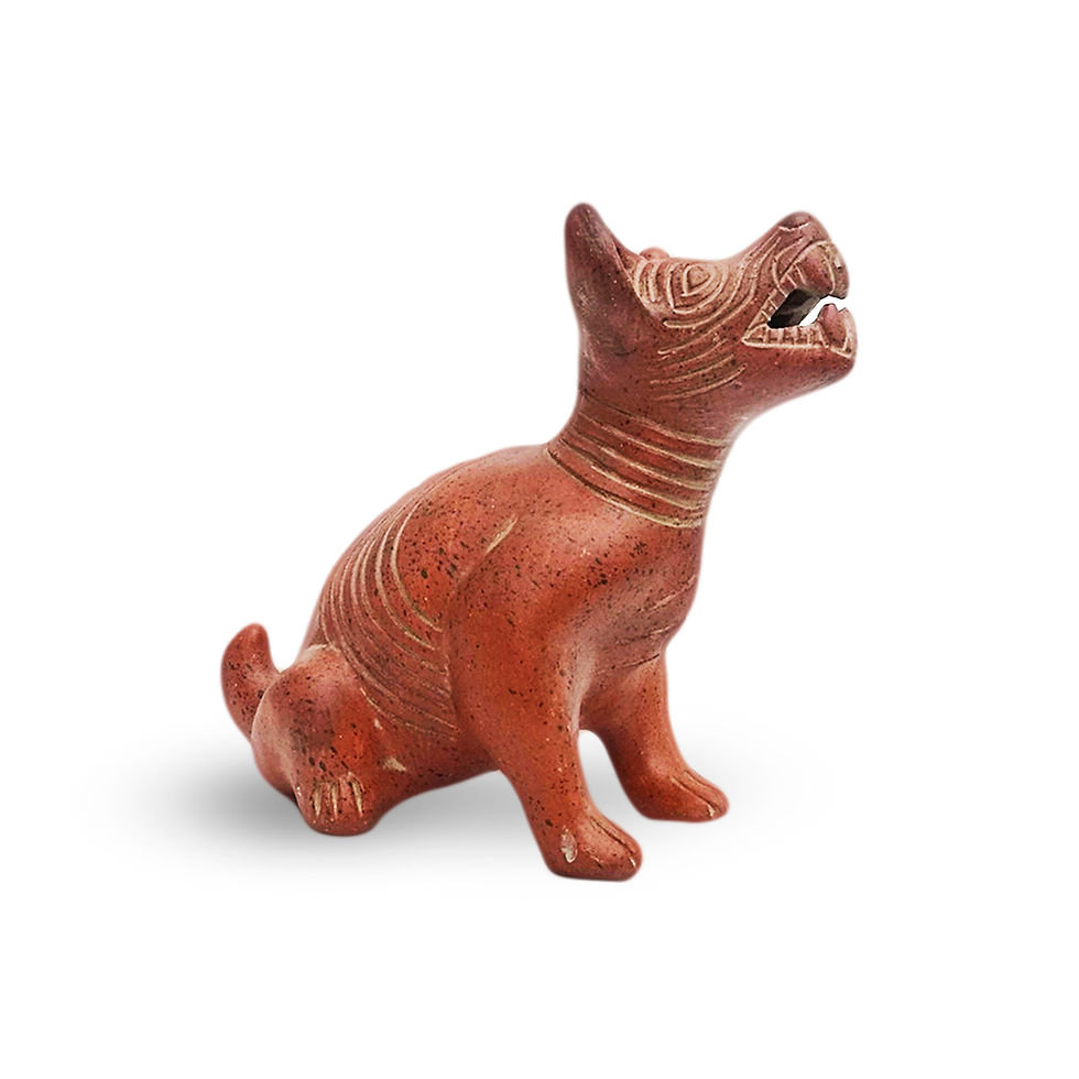 Miniatura: XOLOITZCUINTLE