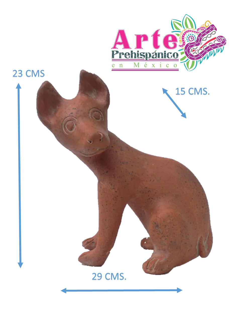 Miniatura: XOLOITZCUINTLE  SENTADO